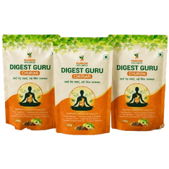 Digest Guru Churan – Hannon Wellness (100g) ( Pack of 3 )