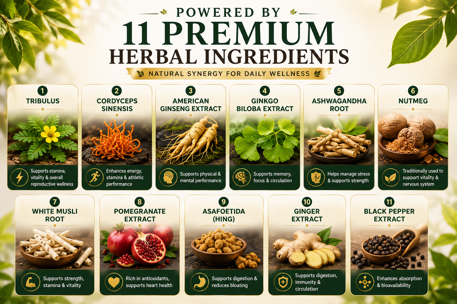 Key Ingredients