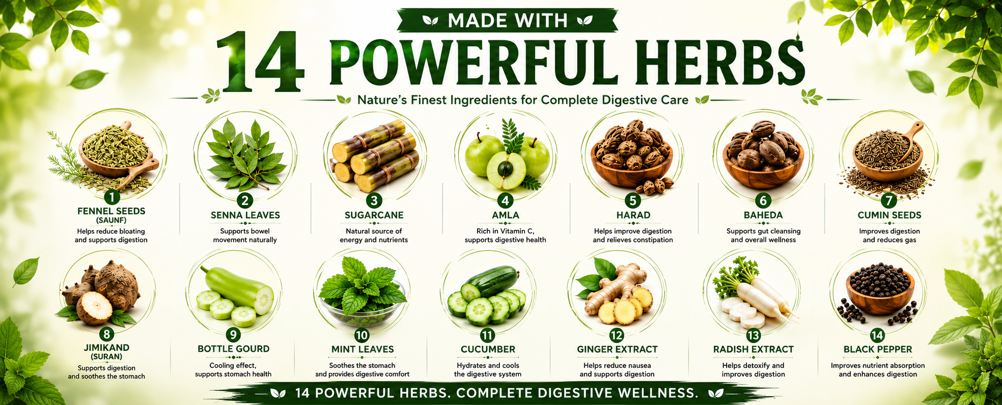 Key Ingredients